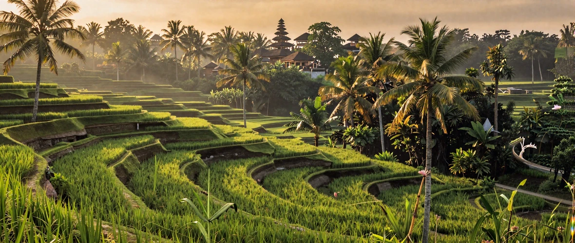 Lush green rice terraces in Ubud Bali with traditional temple and palm trees at golden hour