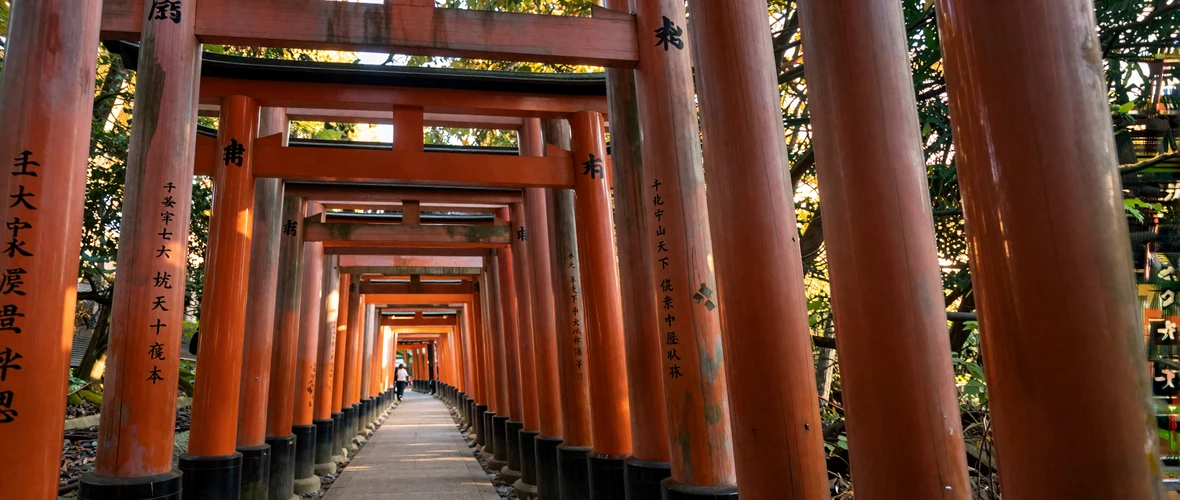 Iconic vermillion torii gates of Fushimi Inari shrine in Kyoto Japan at golden hour